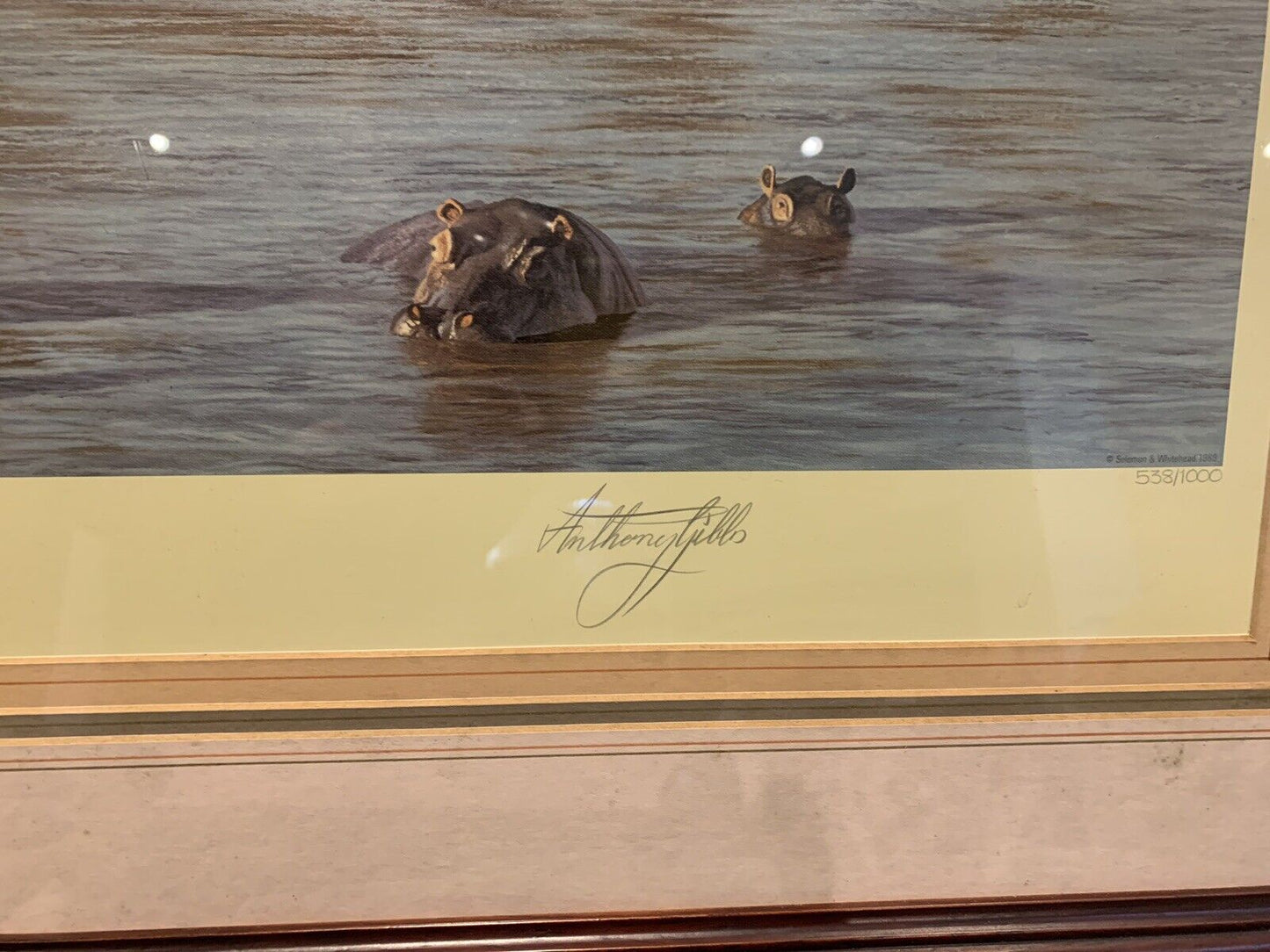 Framed 'Anthony Gibbs' signed print of 'Evening on the Galana' Limited Edition