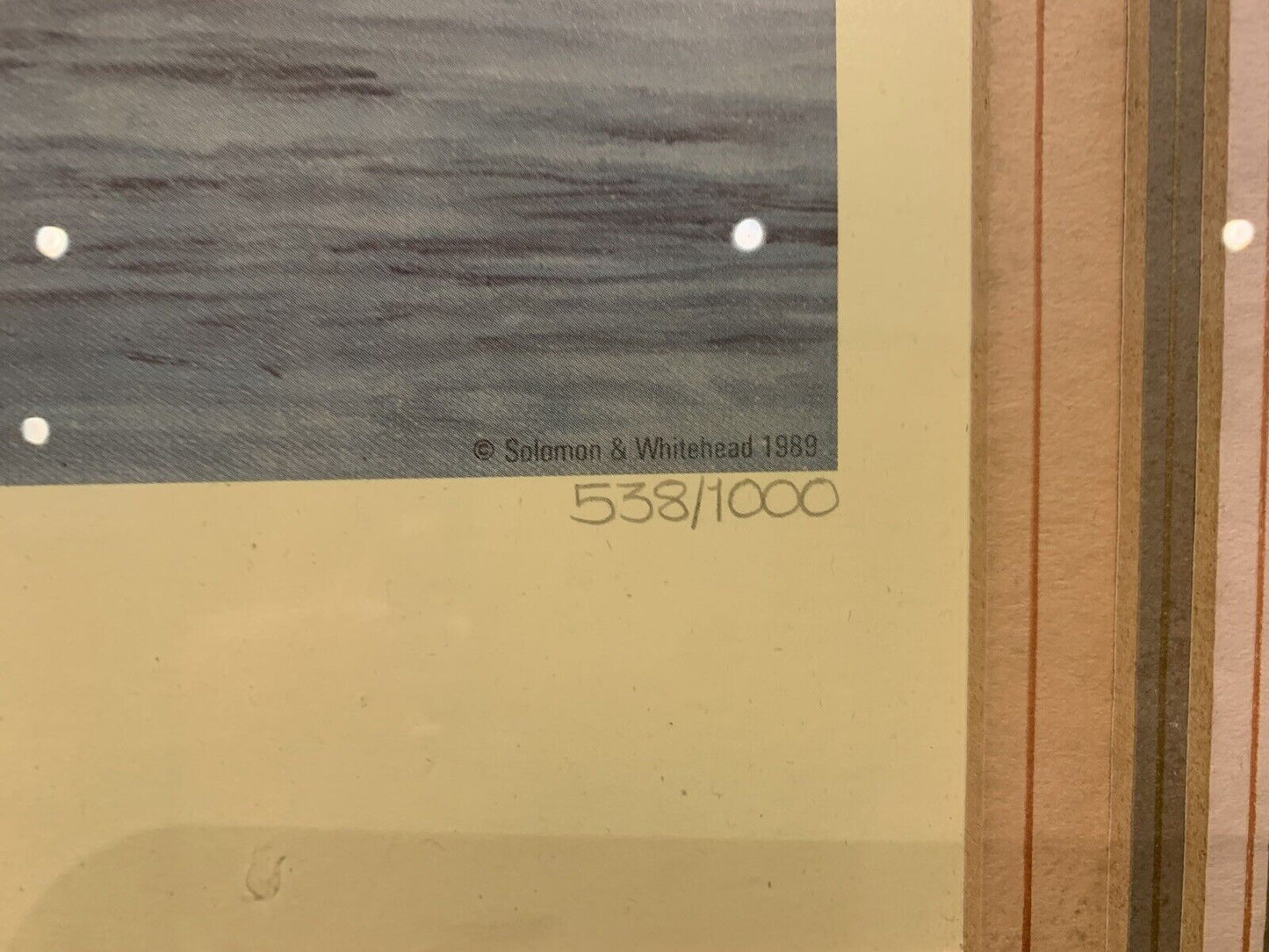 Framed 'Anthony Gibbs' signed print of 'Evening on the Galana' Limited Edition