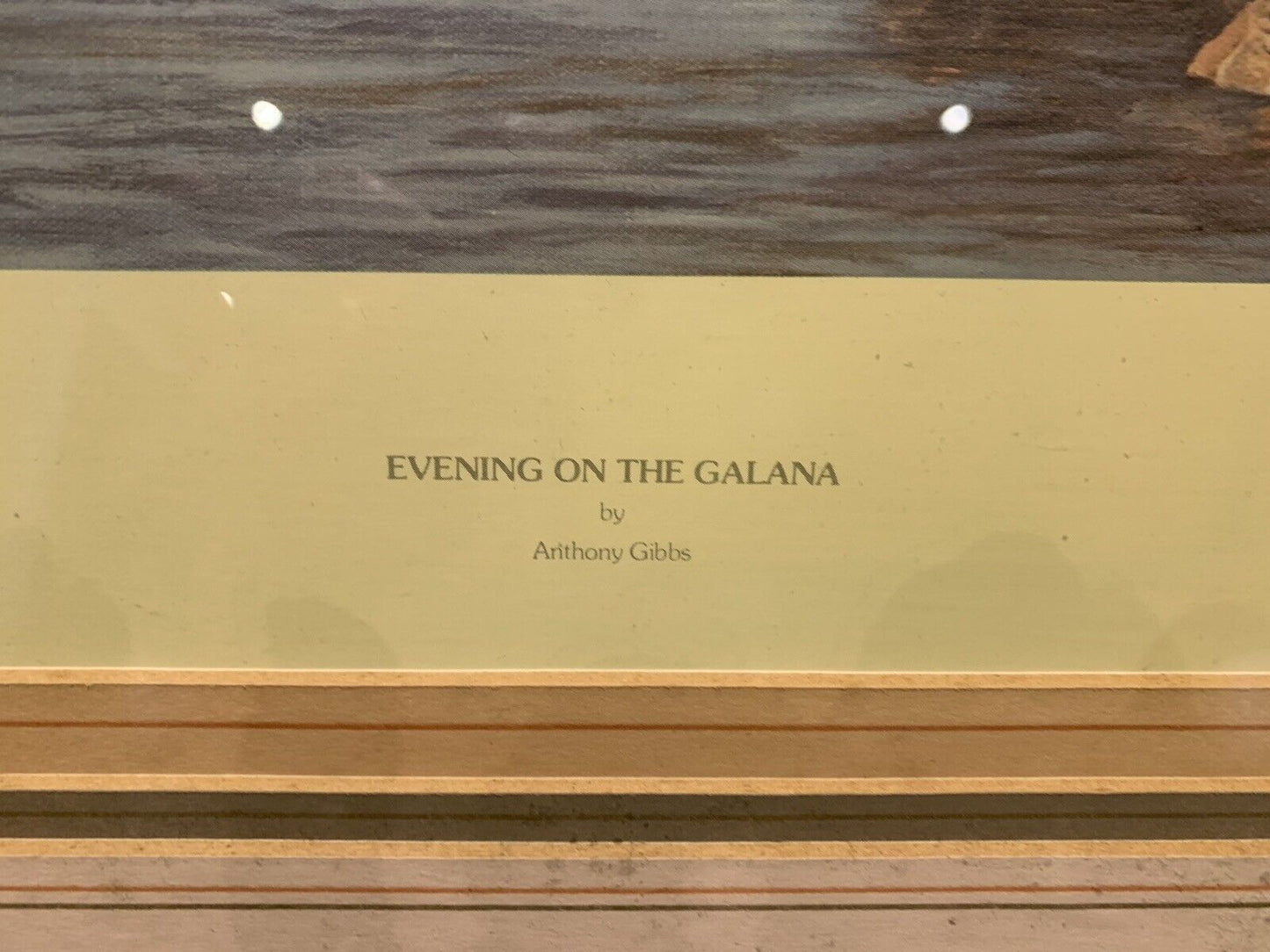 Framed 'Anthony Gibbs' signed print of 'Evening on the Galana' Limited Edition