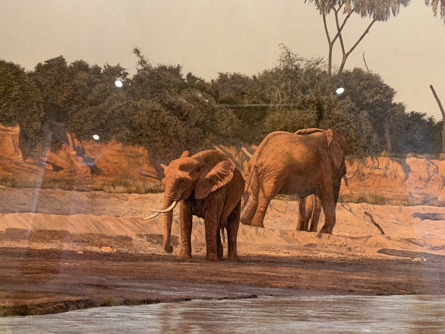 Framed 'Anthony Gibbs' signed print of 'Evening on the Galana' Limited Edition