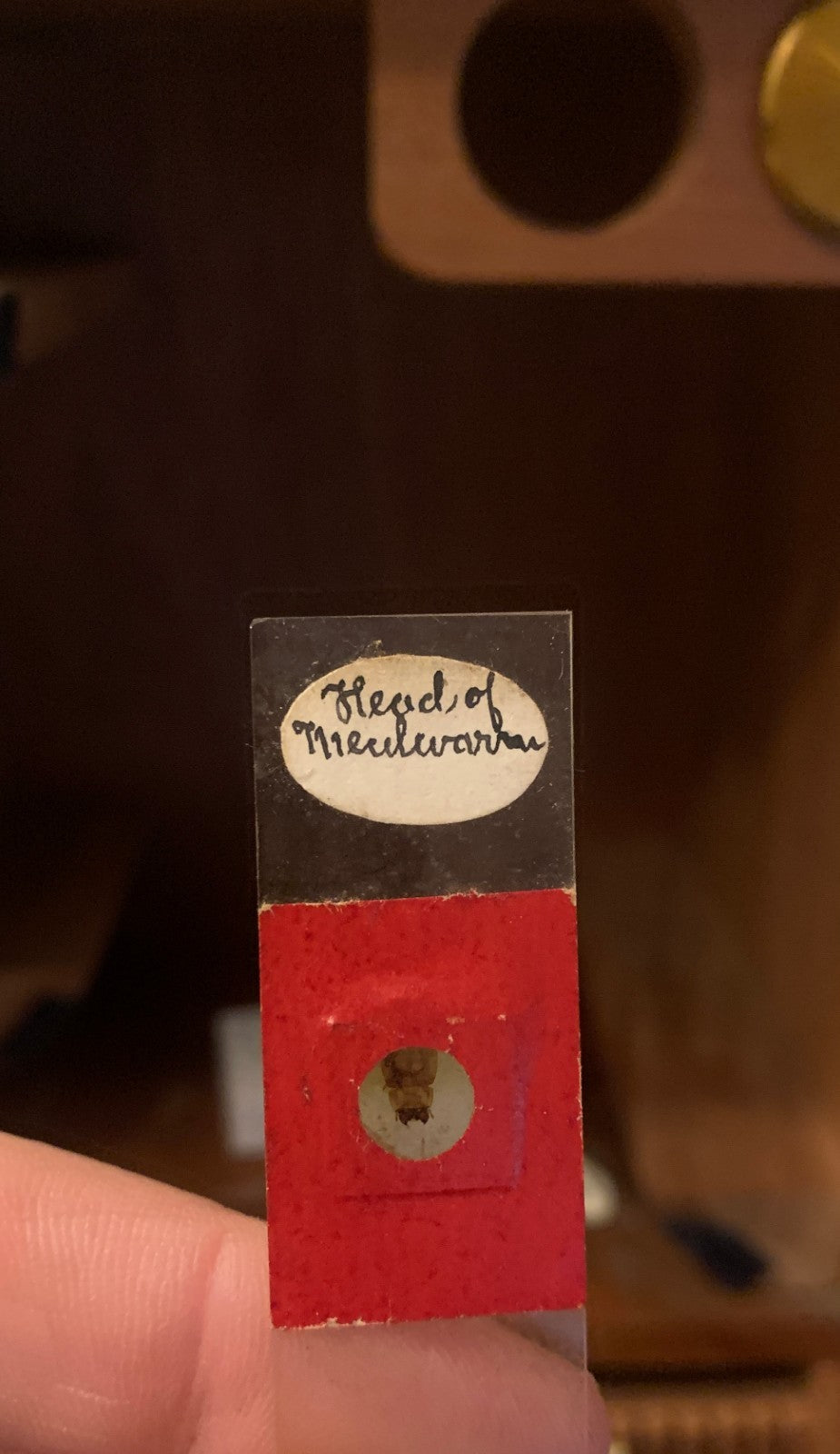 Antique Victorian Brass Bar-Limb Microscope by A. Franks Ltd, Manchester c. 1880