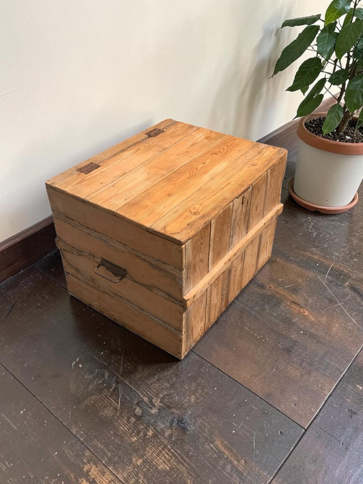 Large Antique Victorian Stripped Pine Trunk  Coffee Table Blanket Chest c.1890