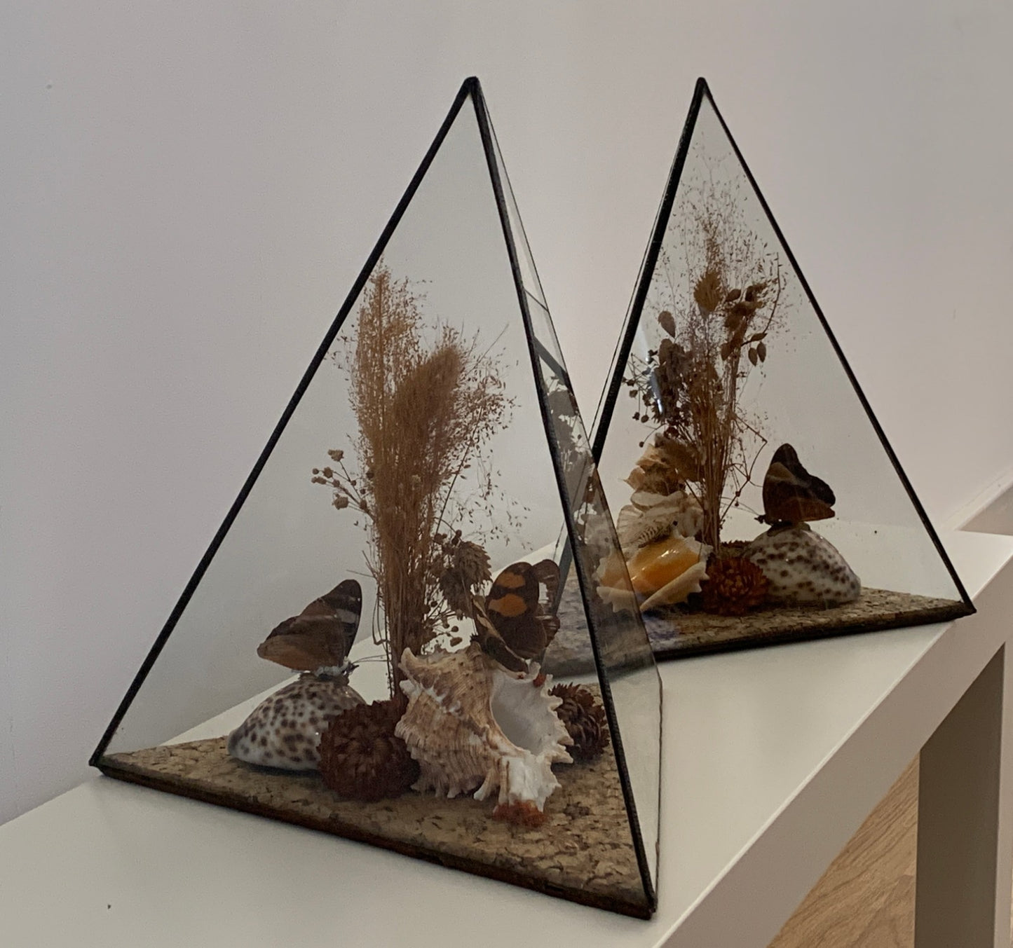 Vintage 1970s Pair of Large Geometric Pyramid Butterfly & Shell Terrariums