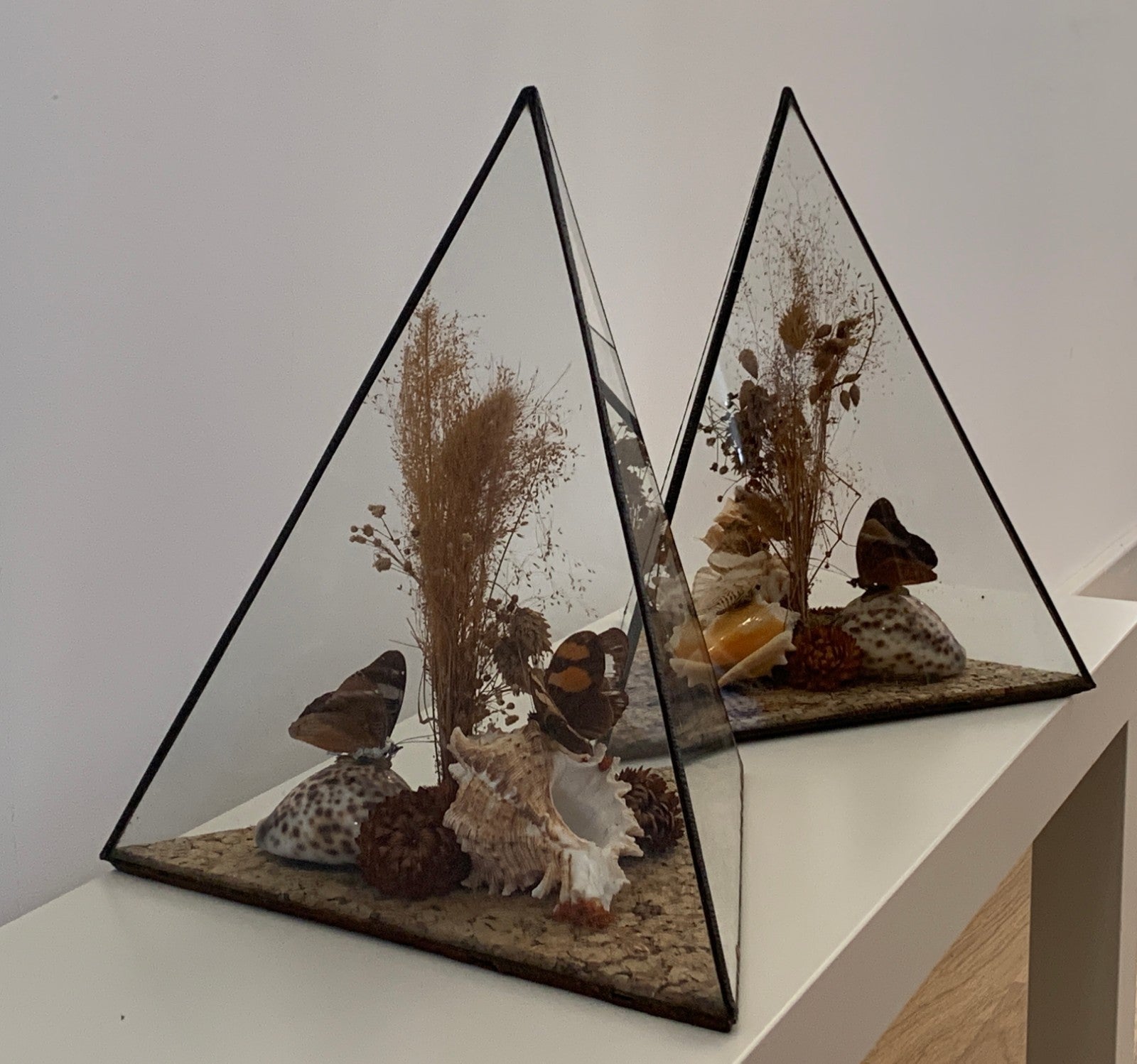 Vintage 1970s Pair of Large Geometric Pyramid Butterfly & Shell Terrariums