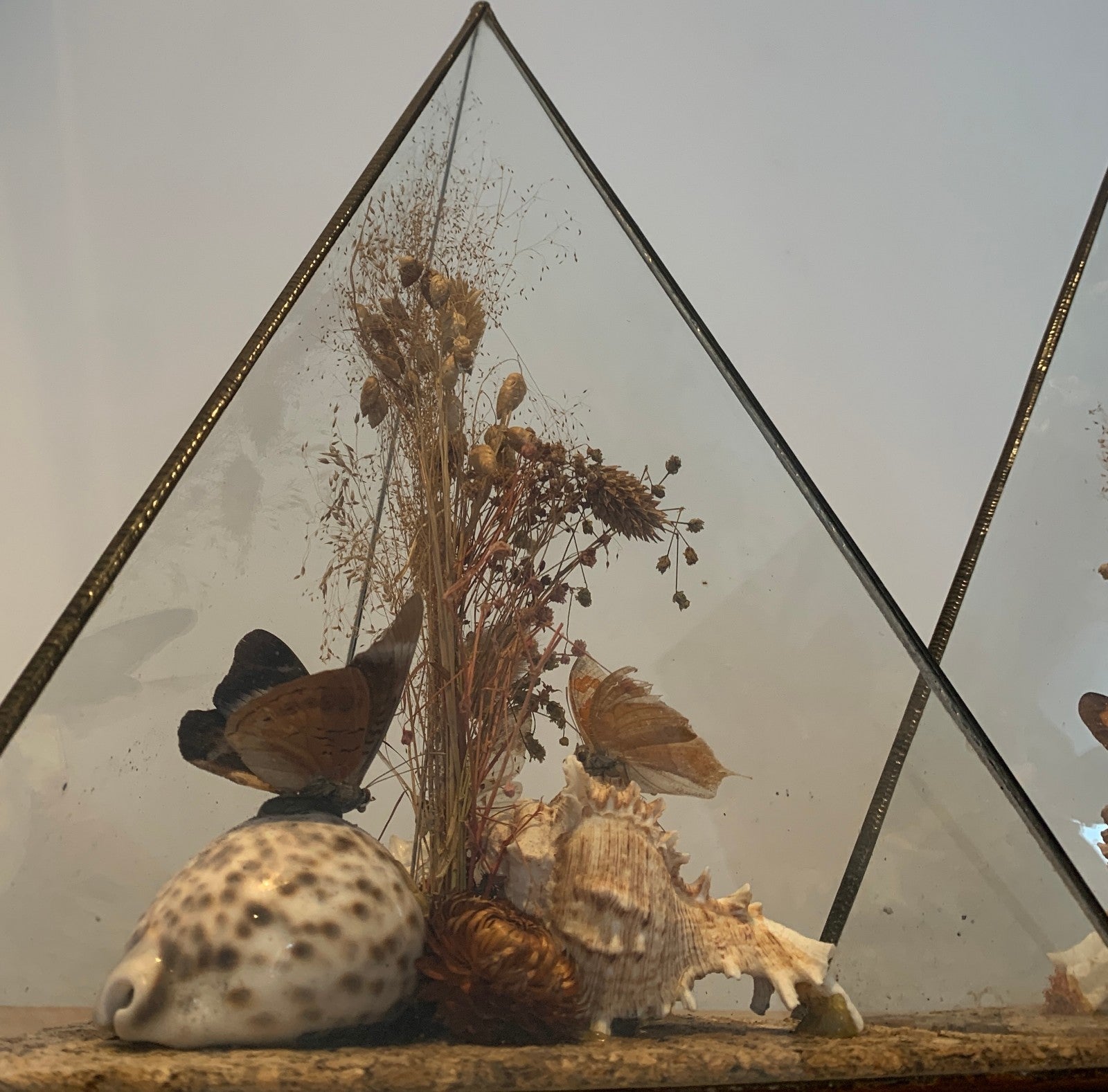 Vintage 1970s Pair of Large Geometric Pyramid Butterfly & Shell Terrariums