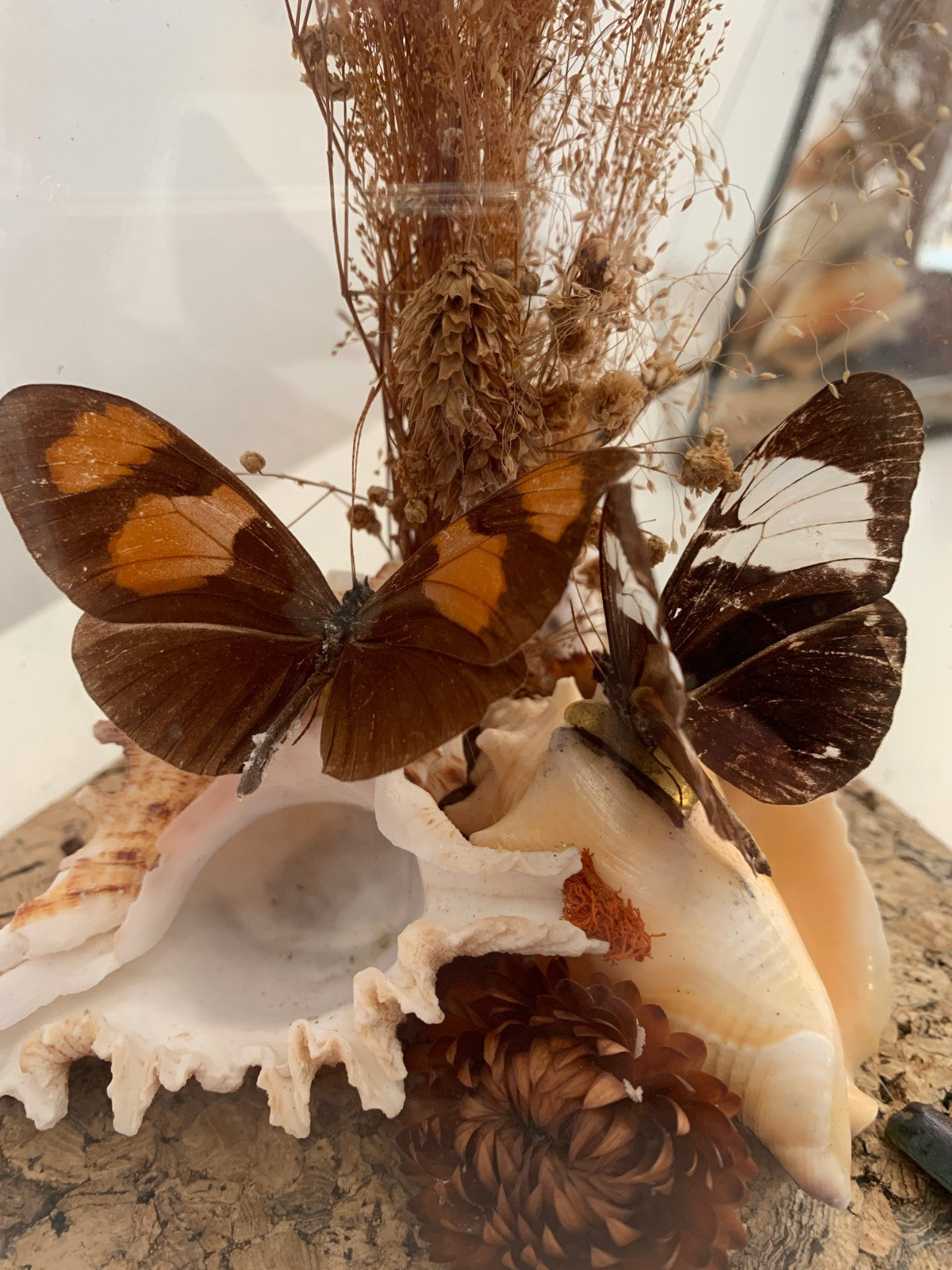 Vintage 1970s Pair of Large Geometric Pyramid Butterfly & Shell Terrariums