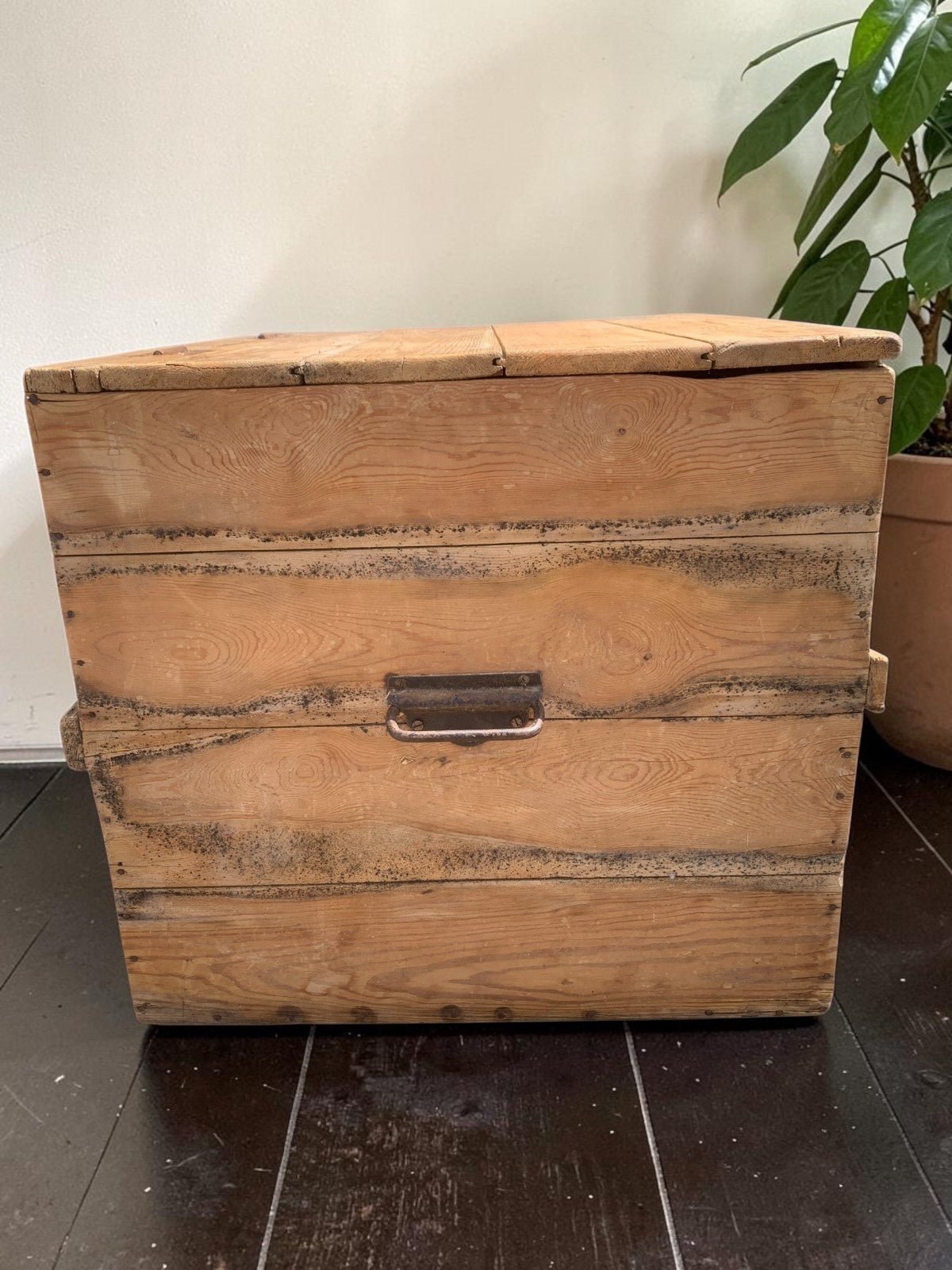 Large Antique Victorian Stripped Pine Trunk  Coffee Table Blanket Chest c.1890