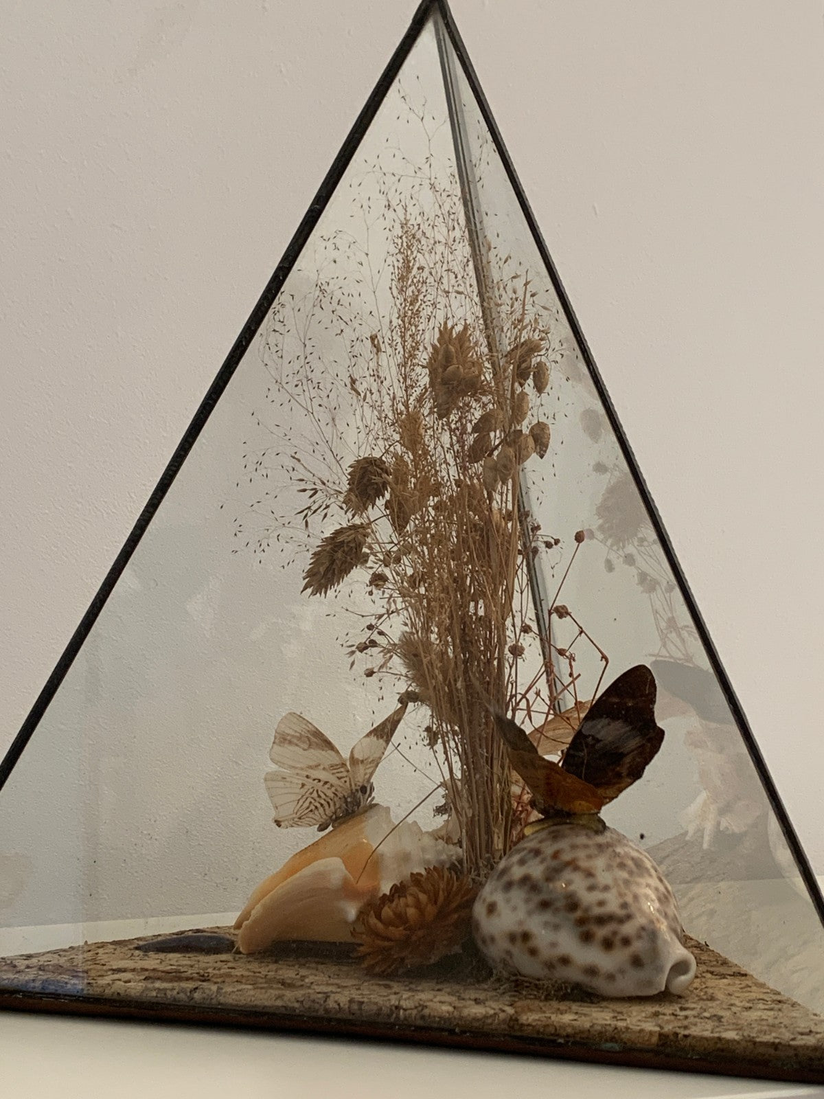 Vintage 1970s Pair of Large Geometric Pyramid Butterfly & Shell Terrariums