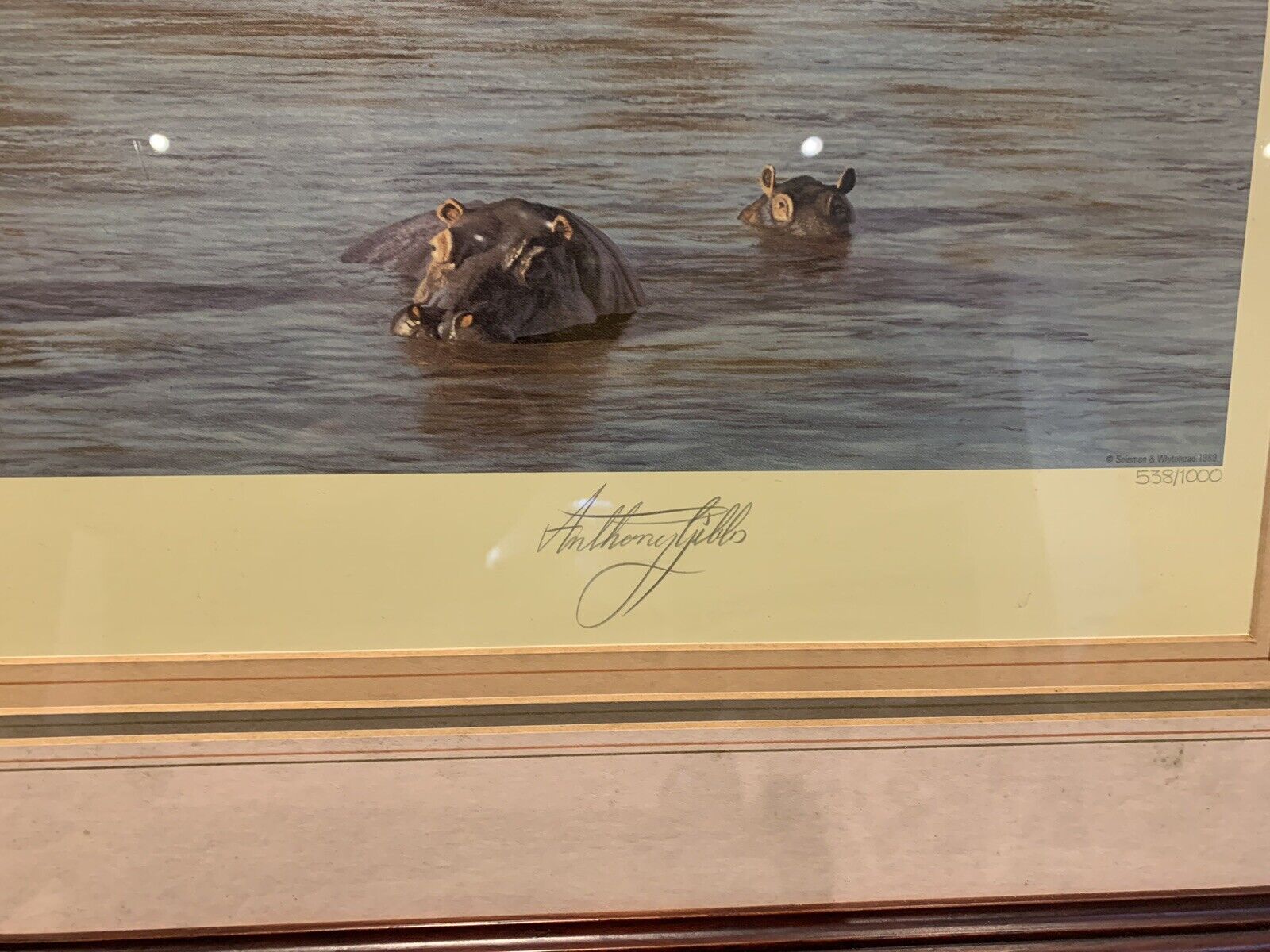 Framed 'Anthony Gibbs' signed print of 'Evening on the Galana' Limited Edition