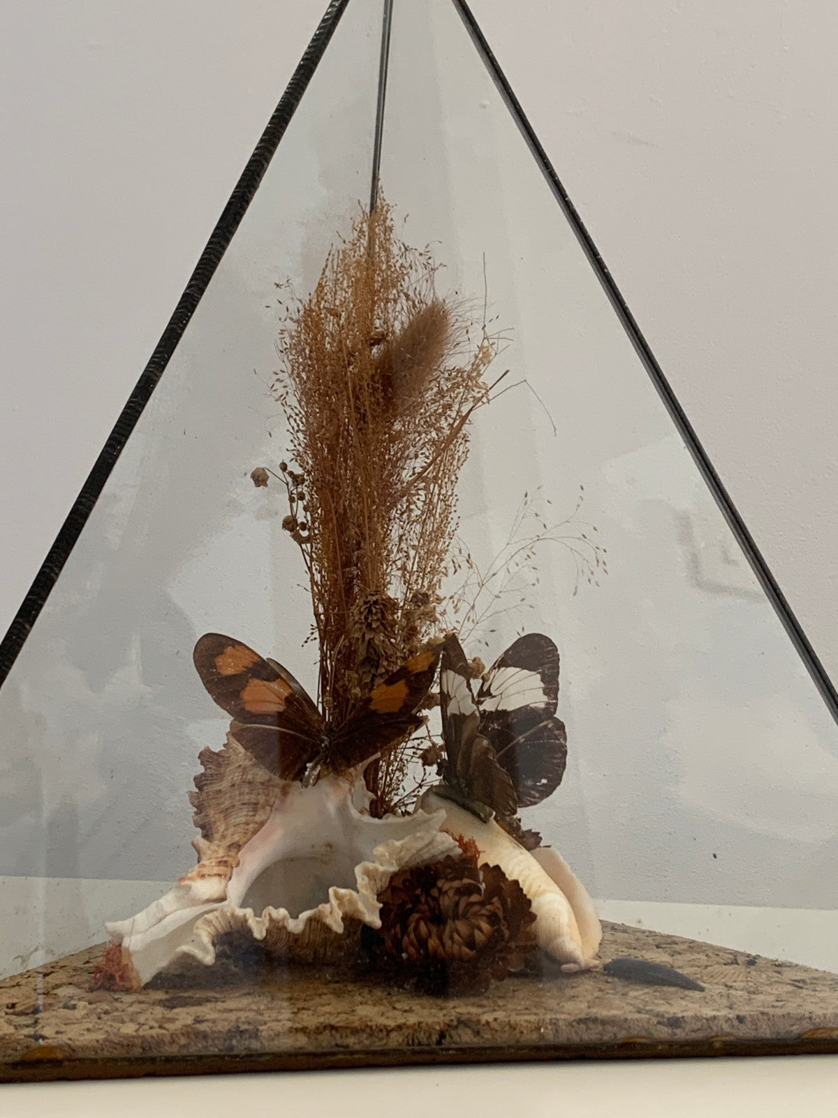 Vintage 1970s Pair of Large Geometric Pyramid Butterfly & Shell Terrariums