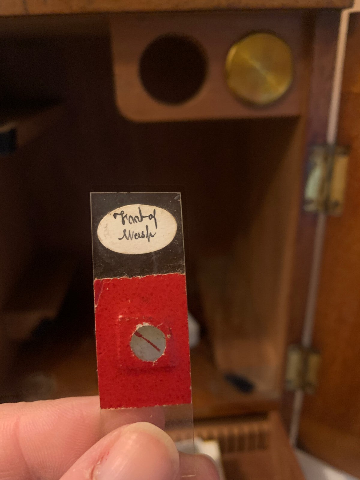 Antique Victorian Brass Bar-Limb Microscope by A. Franks Ltd, Manchester c. 1880