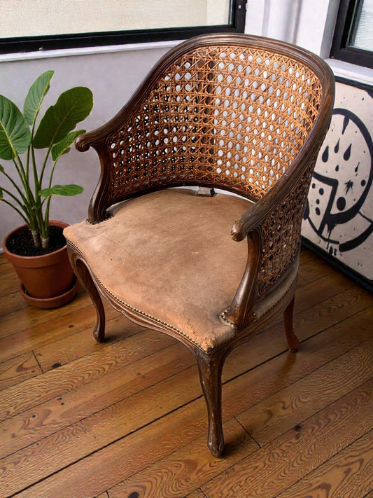 Antique 19th Century French Provincial Bergere Louis XV Style Armchair