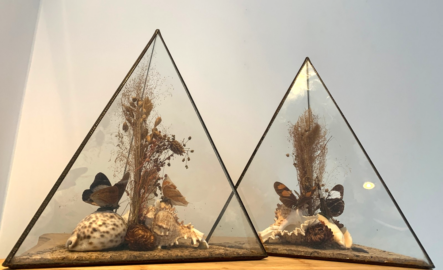 Vintage 1970s Pair of Large Geometric Pyramid Butterfly & Shell Terrariums