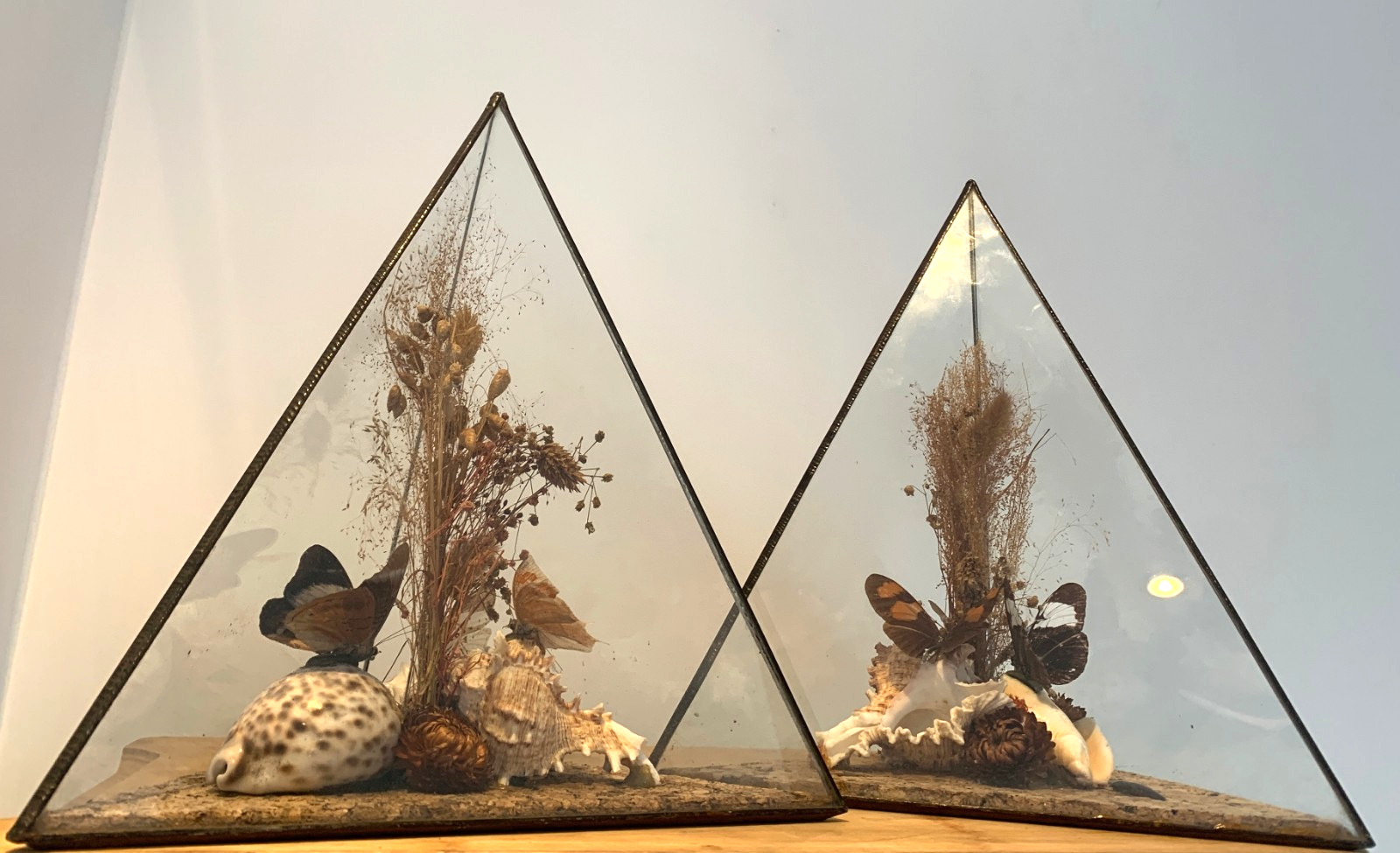 Vintage 1970s Pair of Large Geometric Pyramid Butterfly & Shell Terrariums
