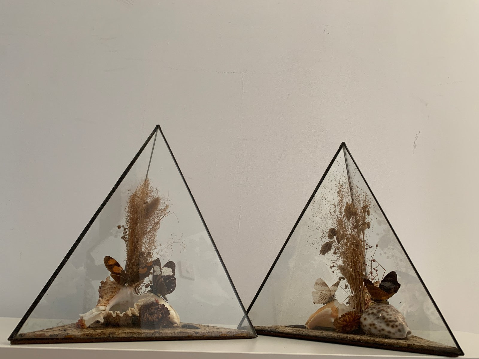 Vintage 1970s Pair of Large Geometric Pyramid Butterfly & Shell Terrariums