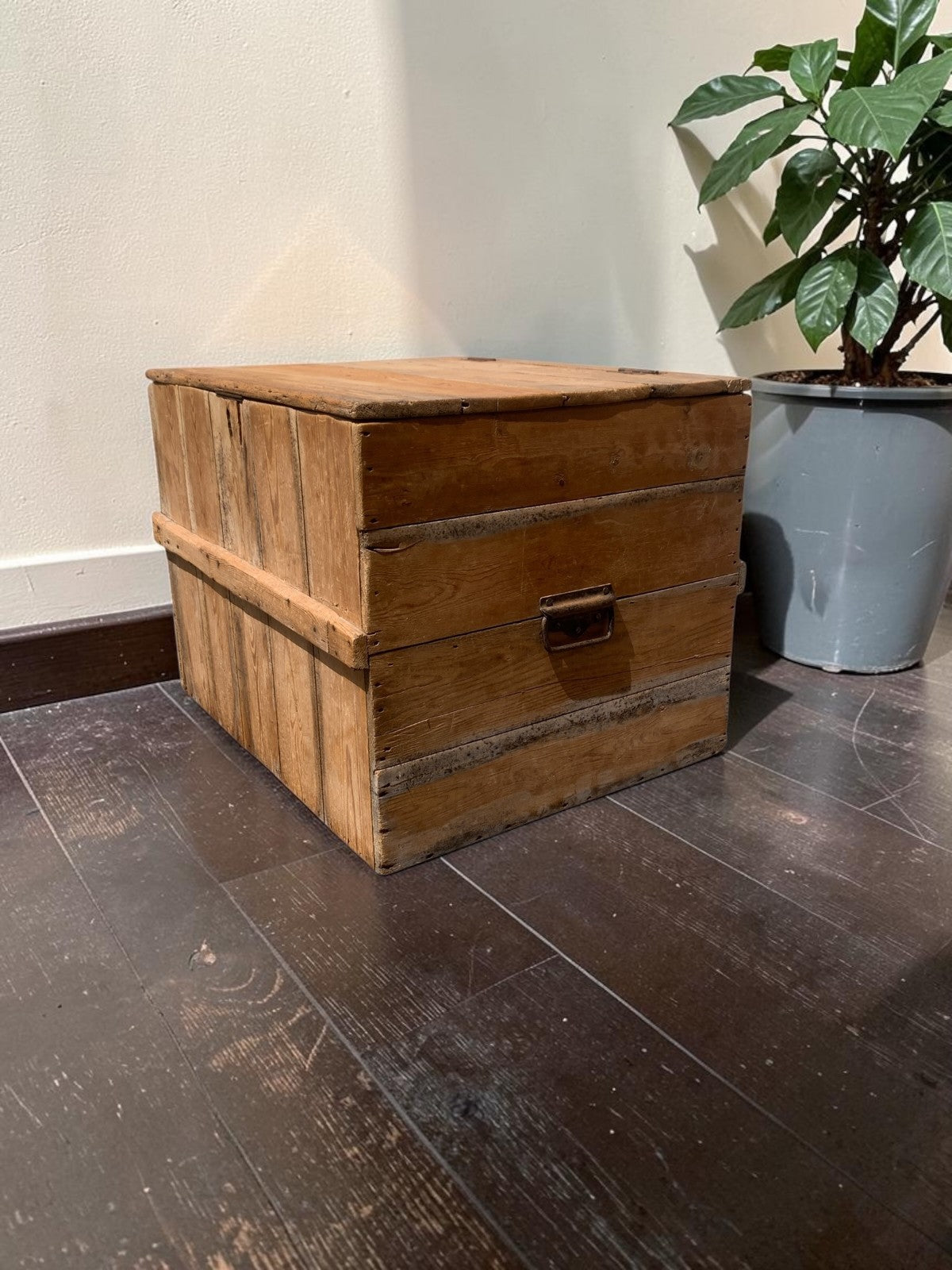 Large Antique Victorian Stripped Pine Trunk  Coffee Table Blanket Chest c.1890